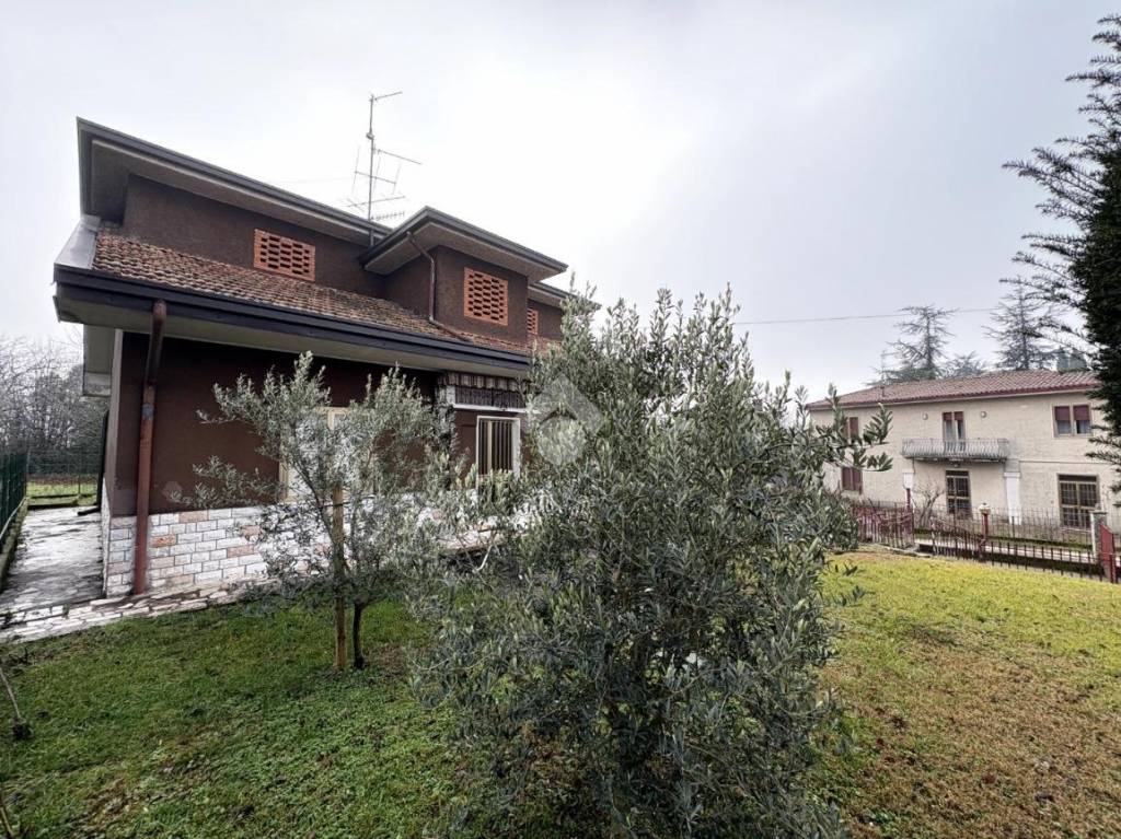 immagine annuncio 1 di 12