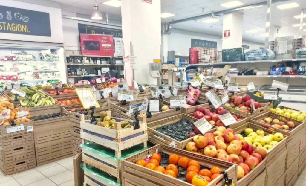 immagine annuncio 1 di 11