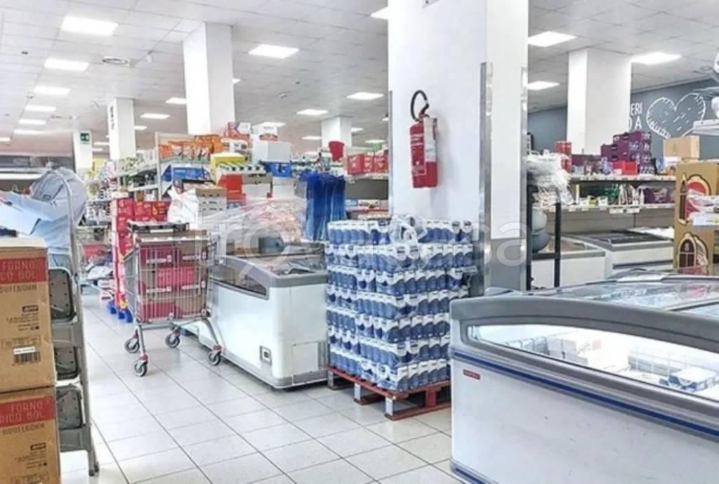 immagine annuncio 6 di 11