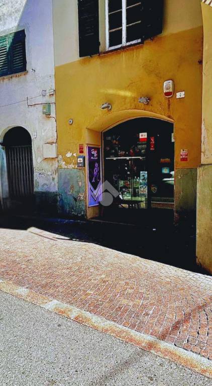 immagine annuncio 1 di 14