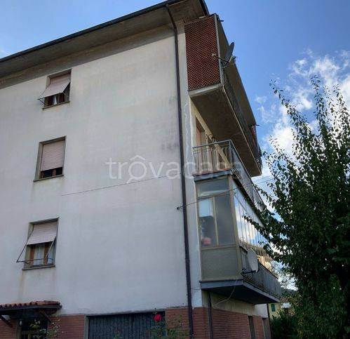 immagine annuncio 2 di 12