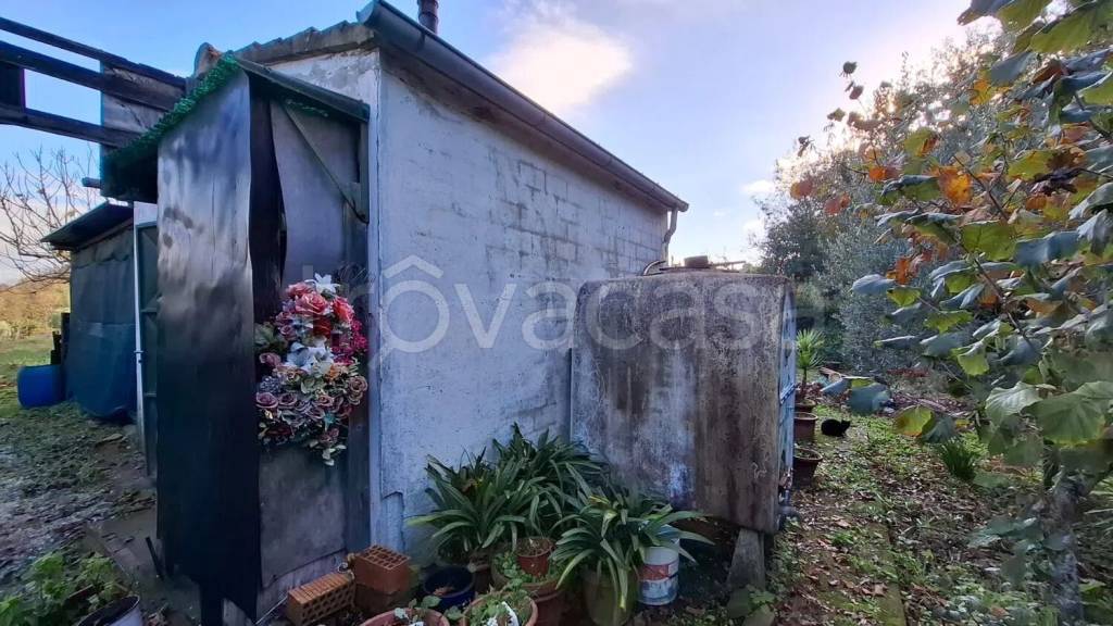 immagine annuncio 6 di 9