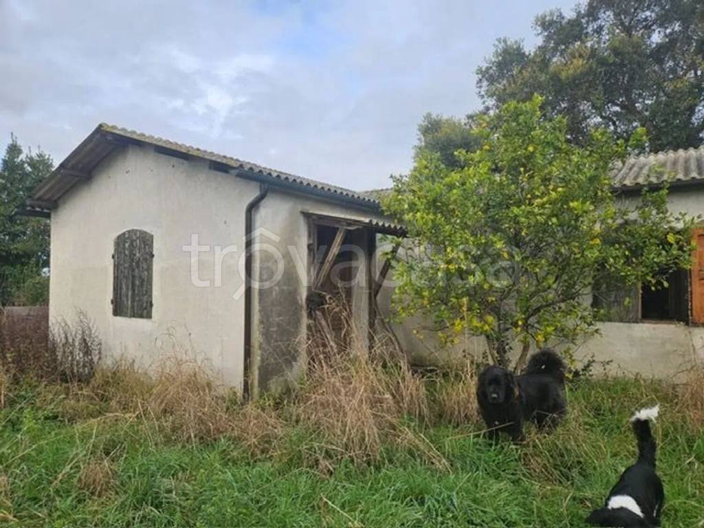 immagine annuncio 1 di 8