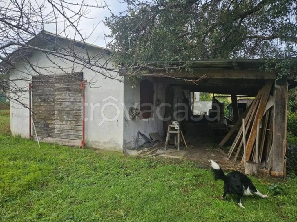 immagine annuncio 4 di 8