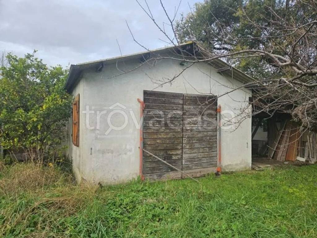 immagine annuncio 6 di 8