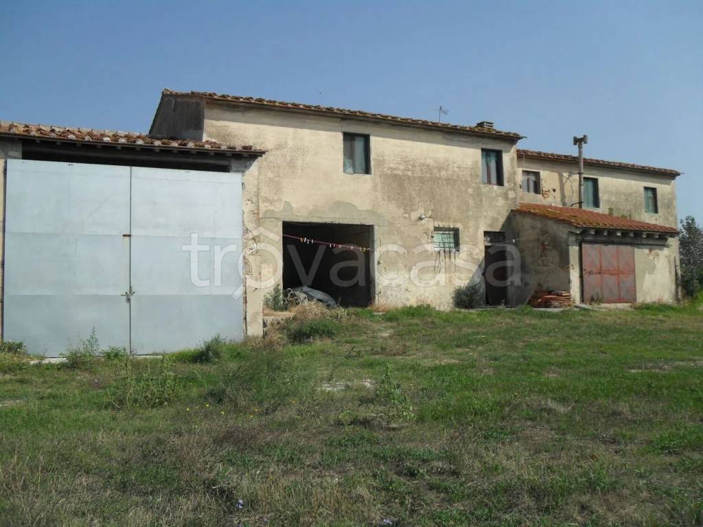 immagine annuncio 4 di 8