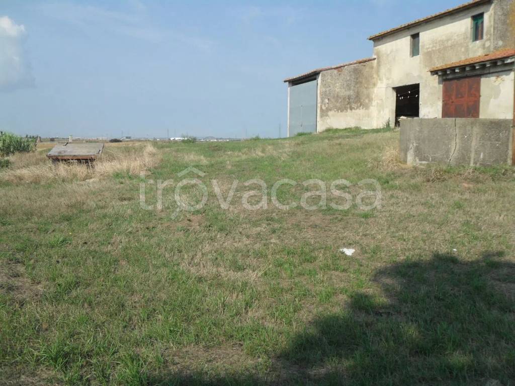 immagine annuncio 5 di 8