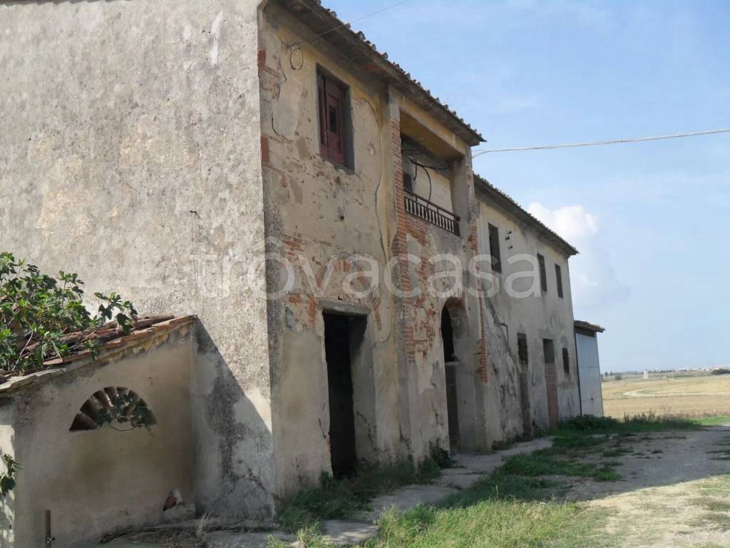 immagine annuncio 6 di 8