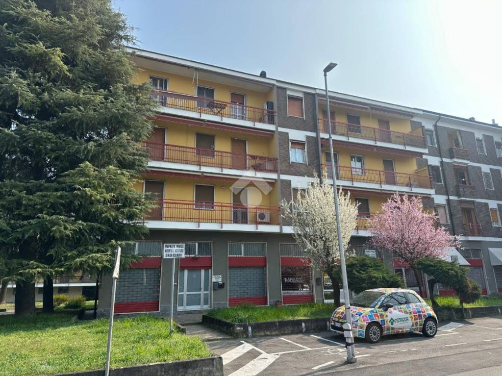 immagine annuncio 4 di 14