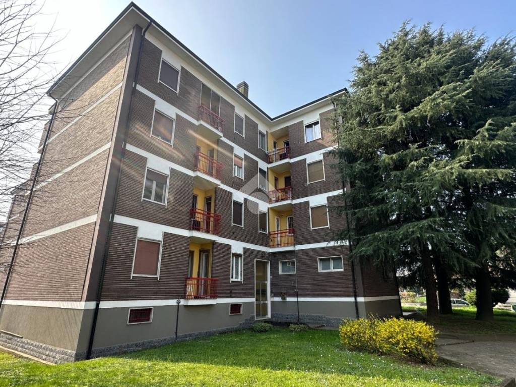 immagine annuncio 8 di 14