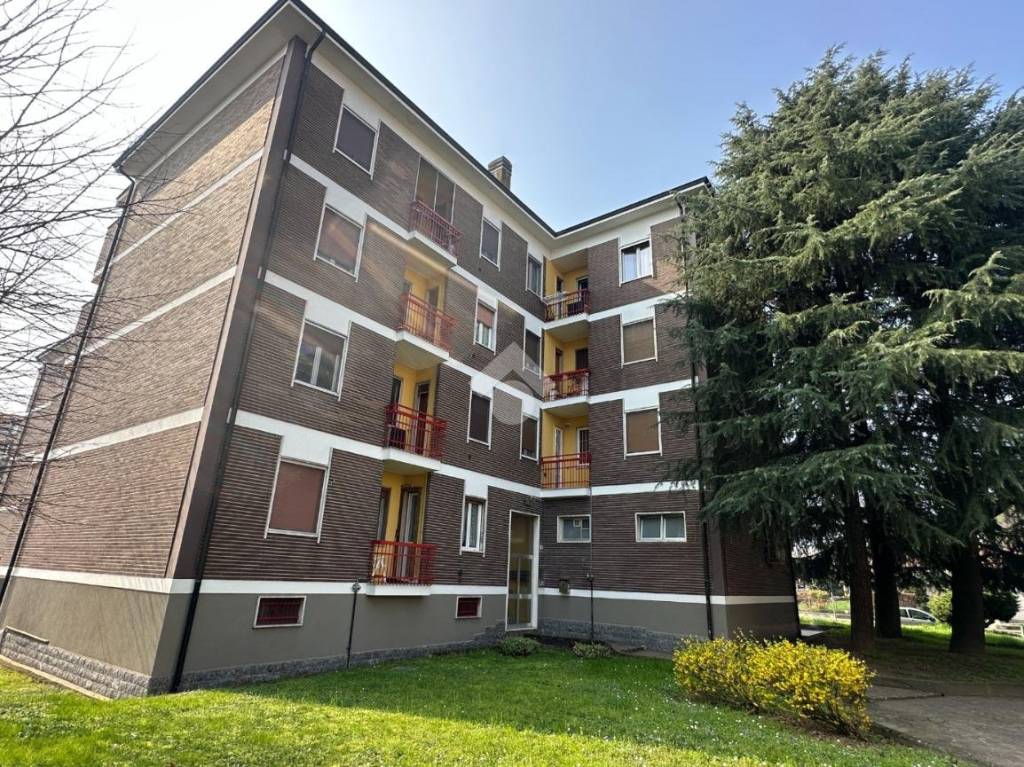 immagine annuncio 13 di 14