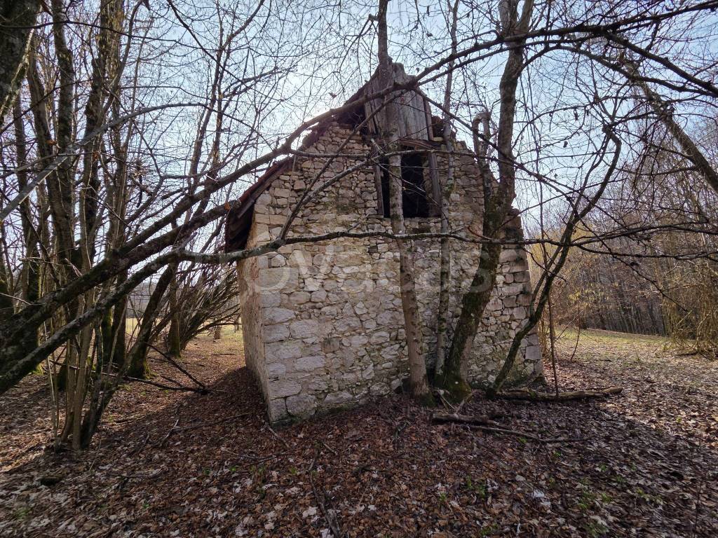 immagine annuncio 2 di 14