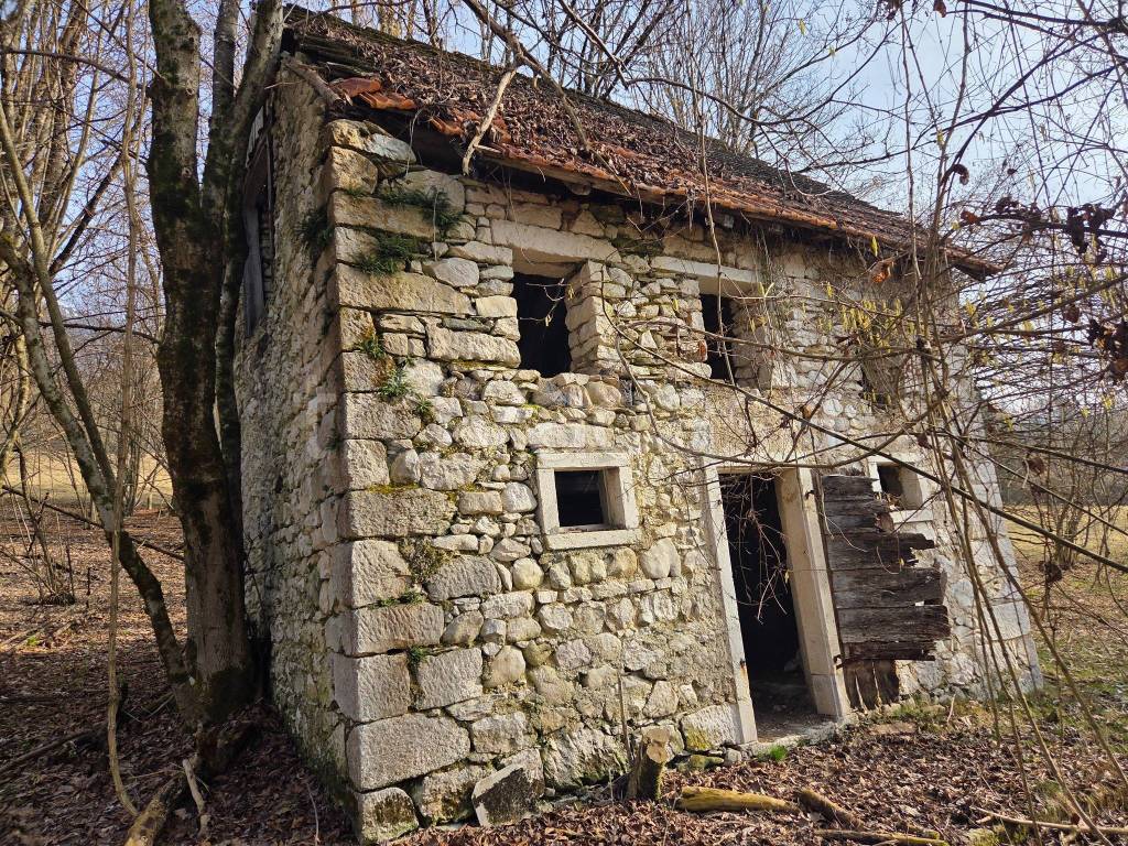 immagine annuncio 3 di 14