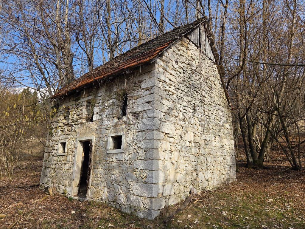 immagine annuncio 4 di 14