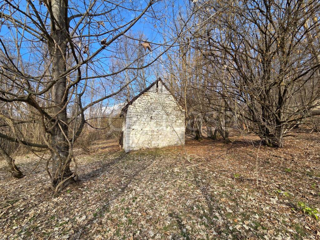 immagine annuncio 10 di 14