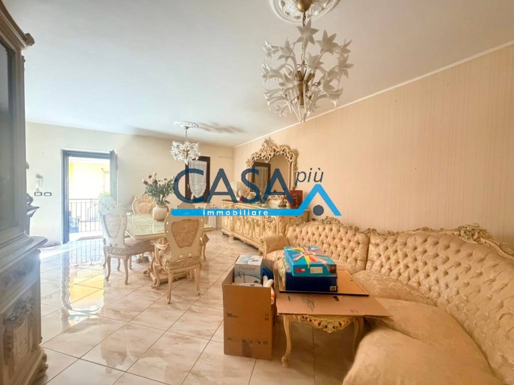 immagine annuncio 2 di 14