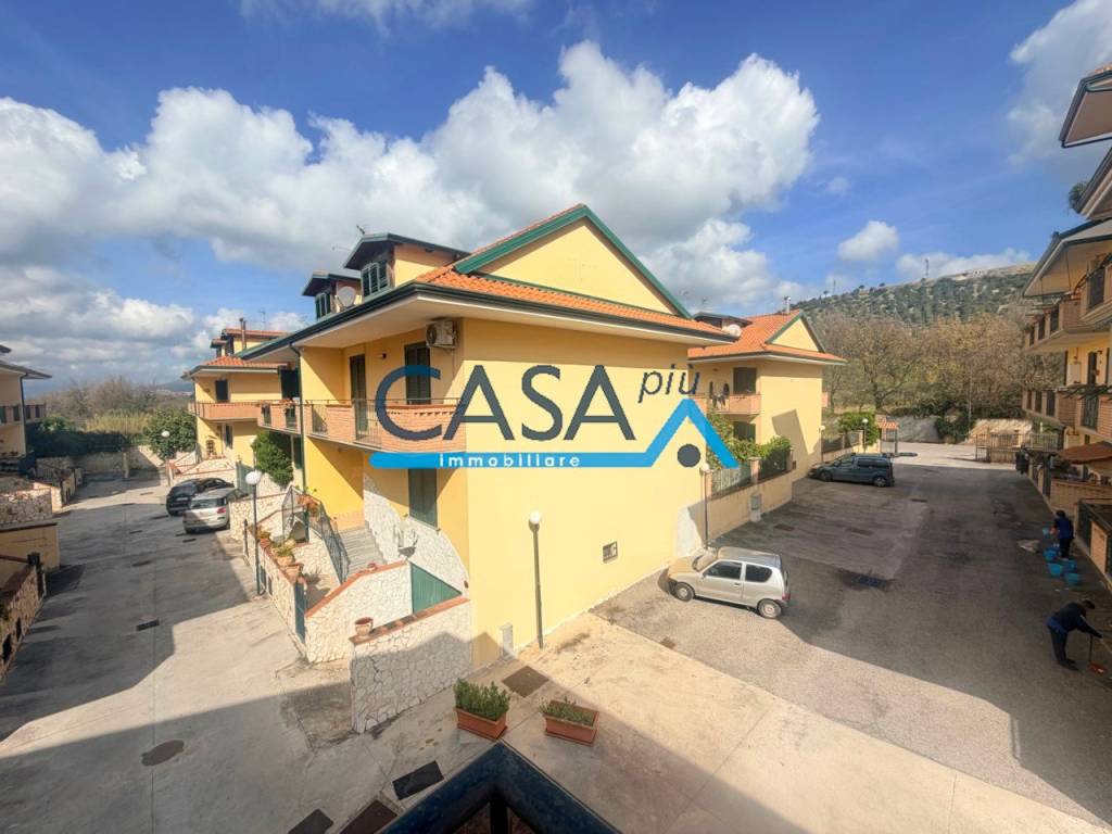 immagine annuncio 12 di 14