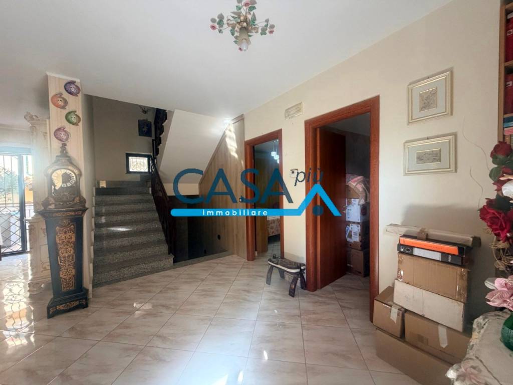 immagine annuncio 8 di 14