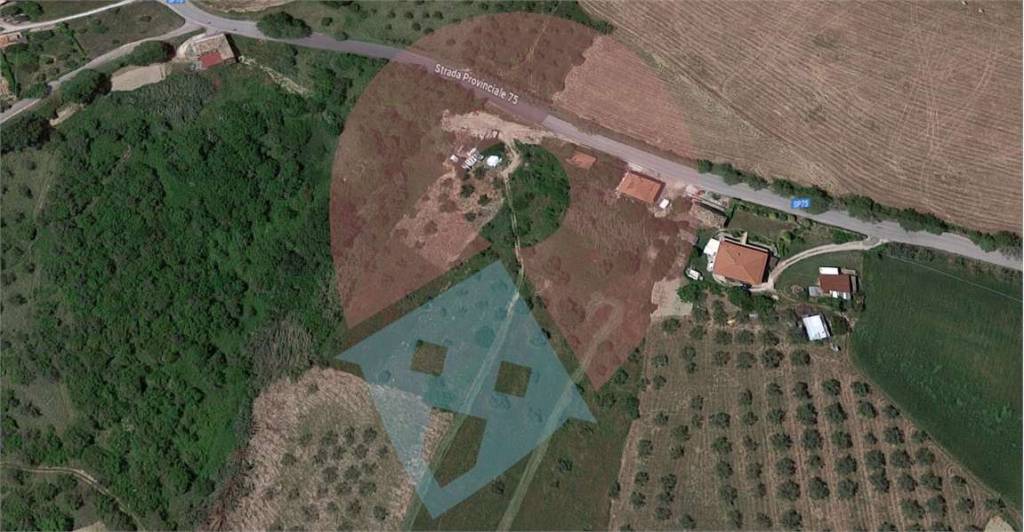 immagine annuncio 4 di 6