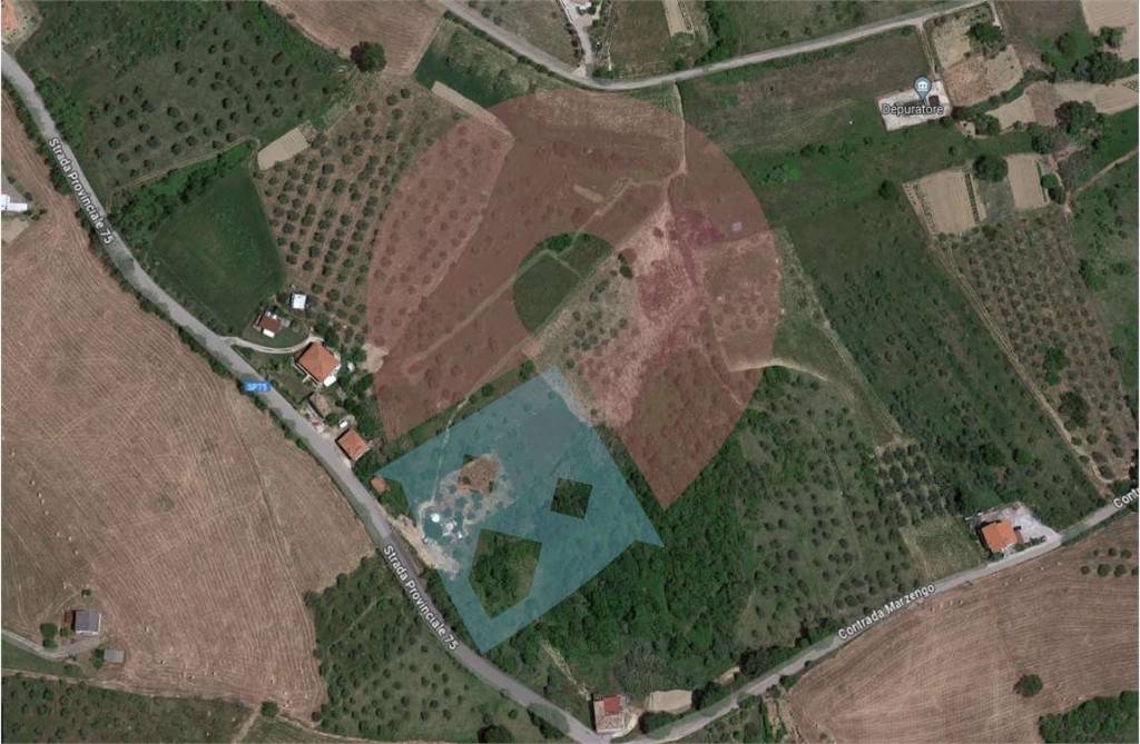 immagine annuncio 5 di 6