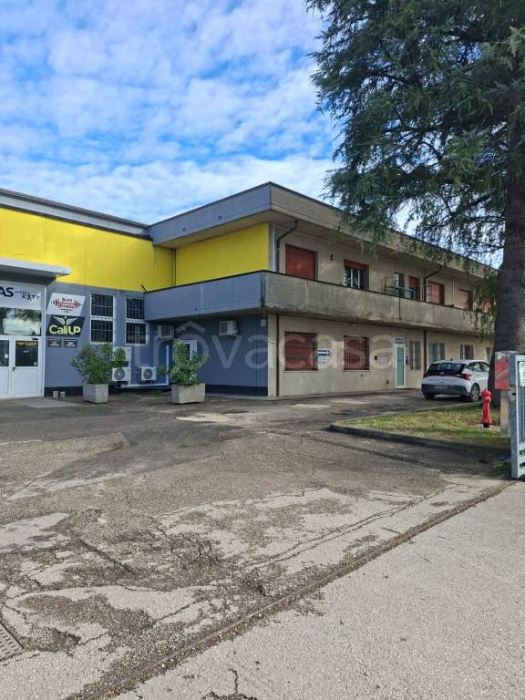 immagine annuncio 6 di 7