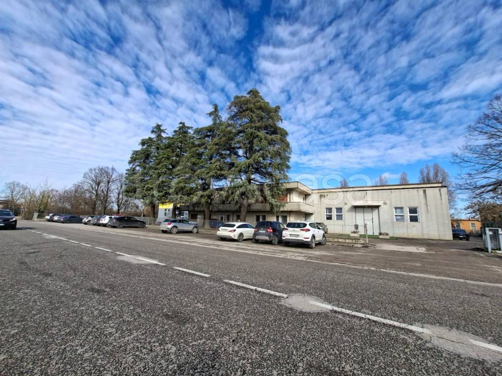 immagine annuncio 1 di 7