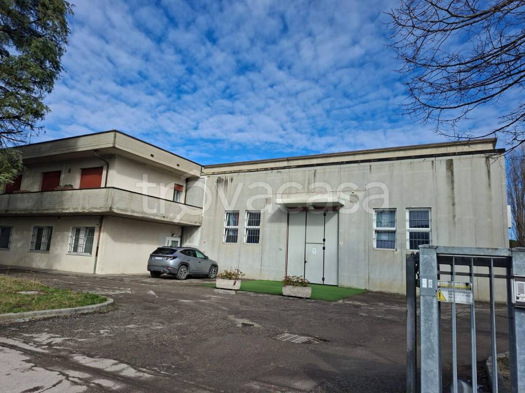 immagine annuncio 2 di 7