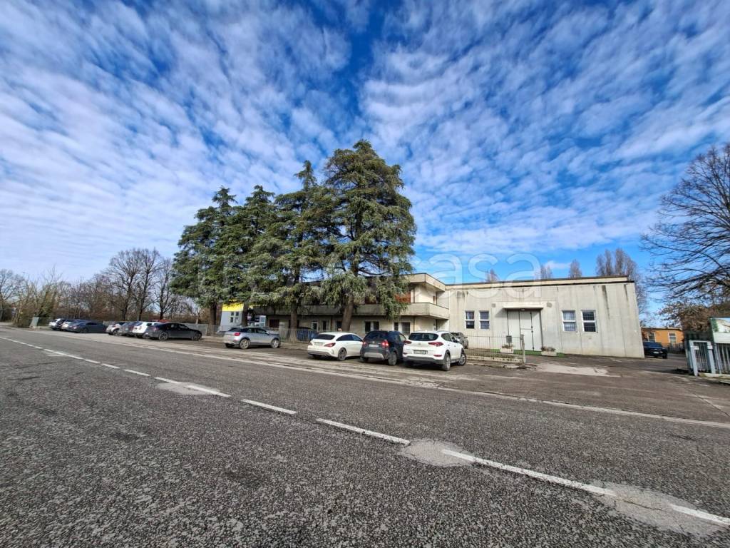 immagine annuncio 3 di 7