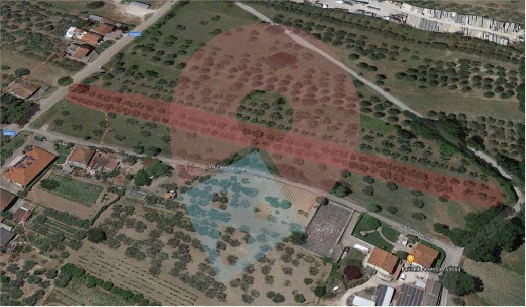 immagine annuncio 2 di 10