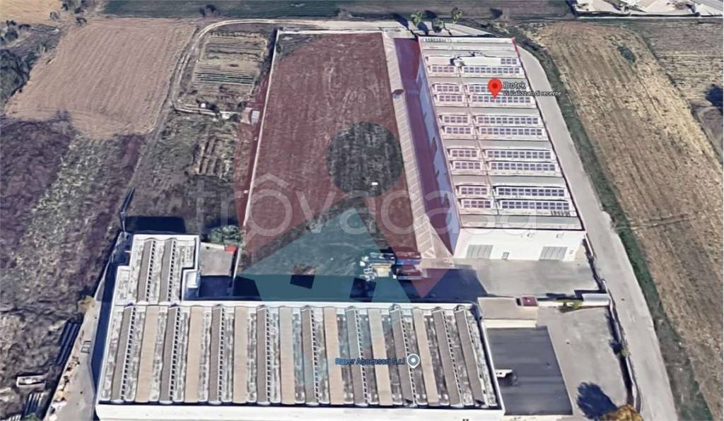 immagine annuncio 3 di 6