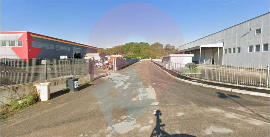 immagine annuncio 4 di 6