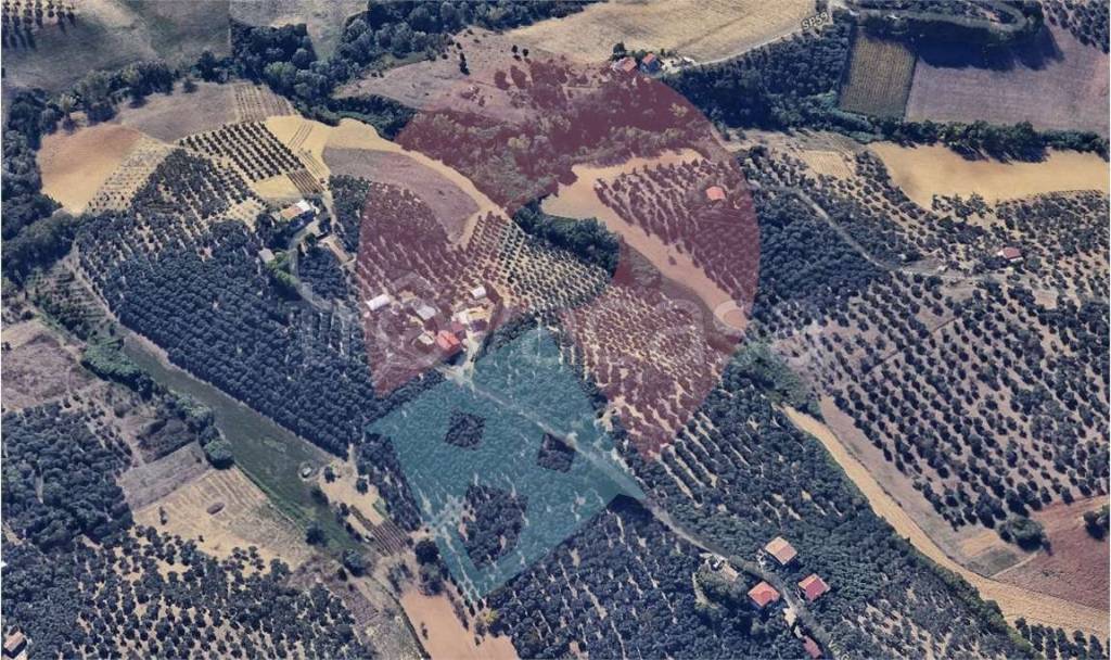 immagine annuncio 11 di 13