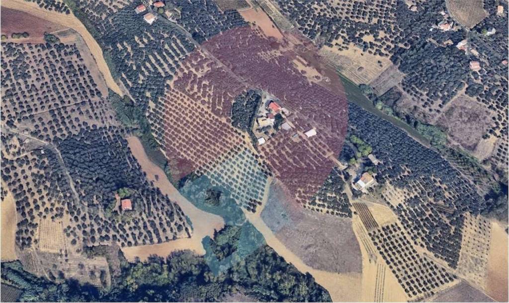 immagine annuncio 12 di 13