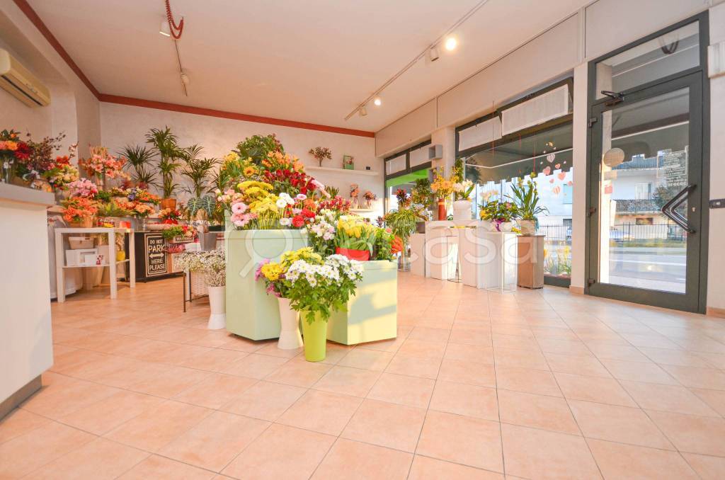 immagine annuncio 5 di 14