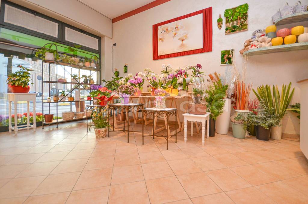 immagine annuncio 6 di 14