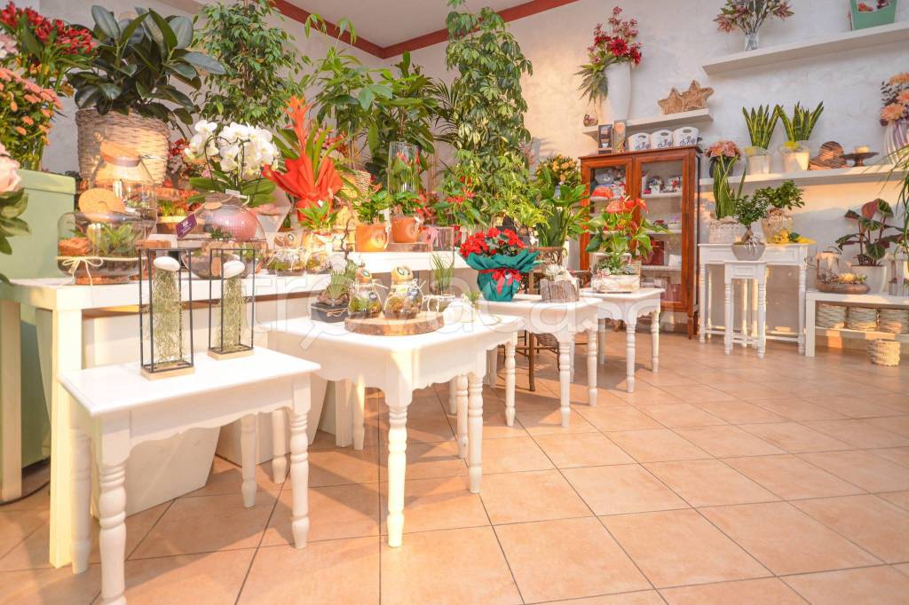 immagine annuncio 7 di 14