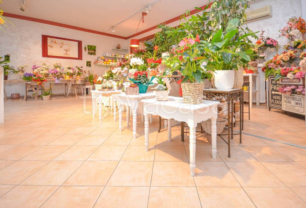 immagine annuncio 8 di 14