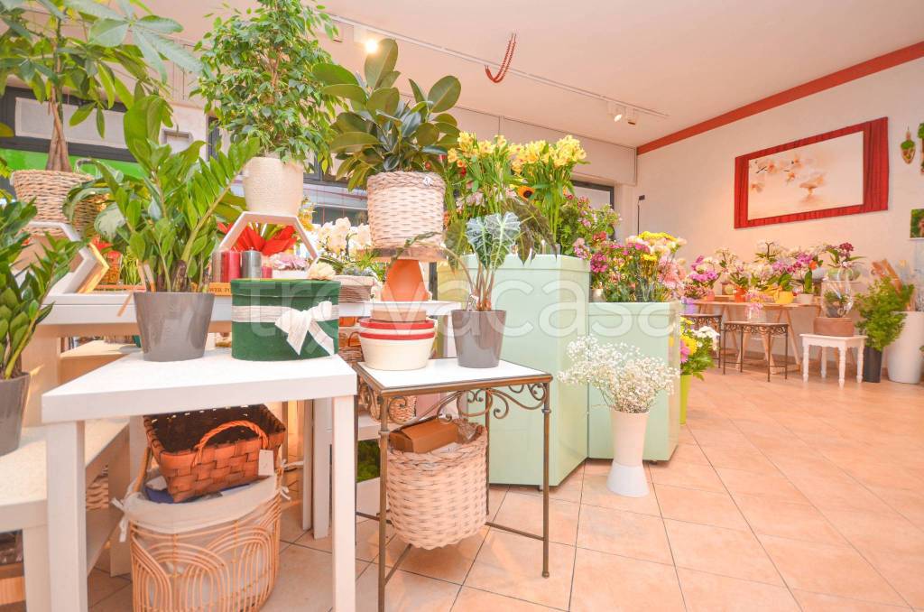 immagine annuncio 9 di 14