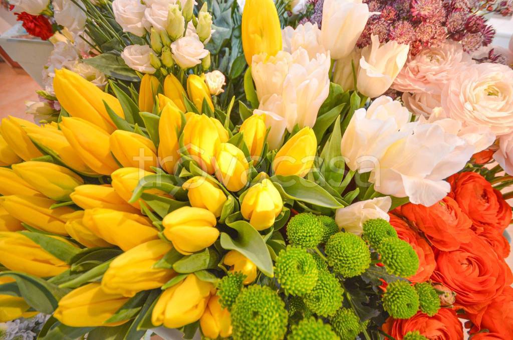 immagine annuncio 3 di 14