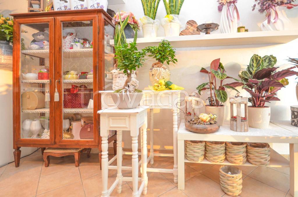 immagine annuncio 11 di 14