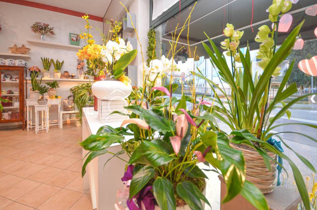 immagine annuncio 12 di 14