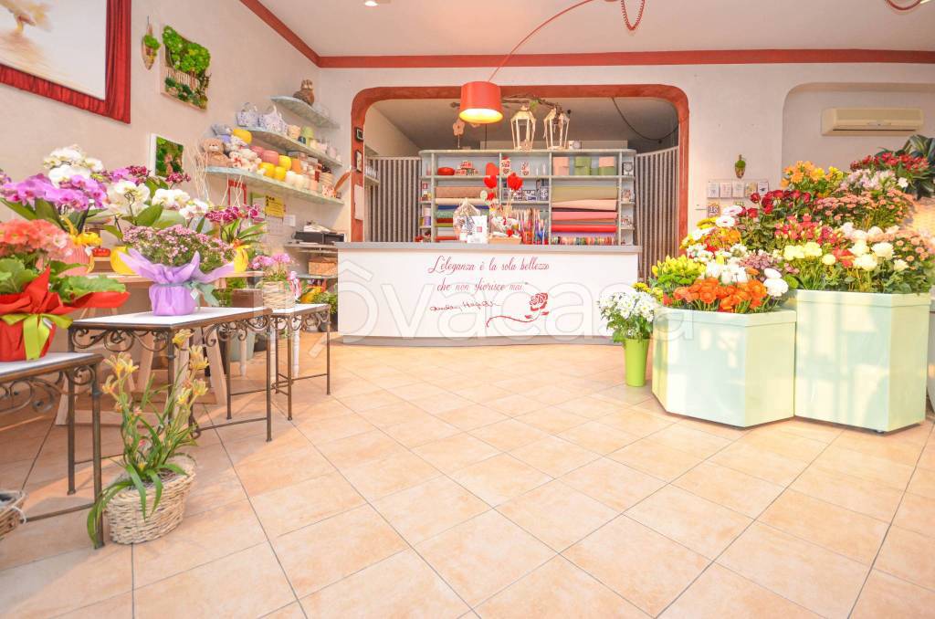 immagine annuncio 13 di 14