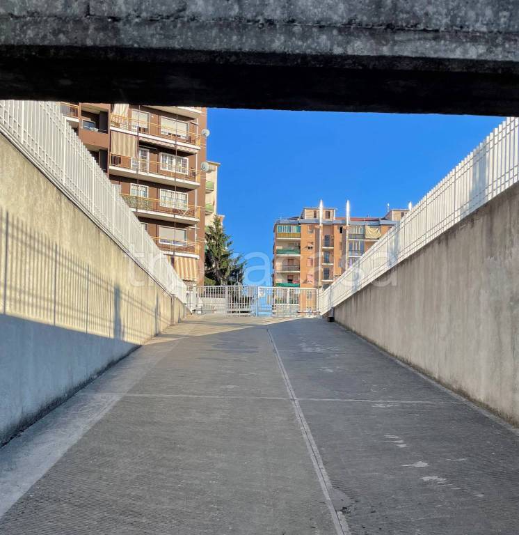 immagine annuncio 7 di 11