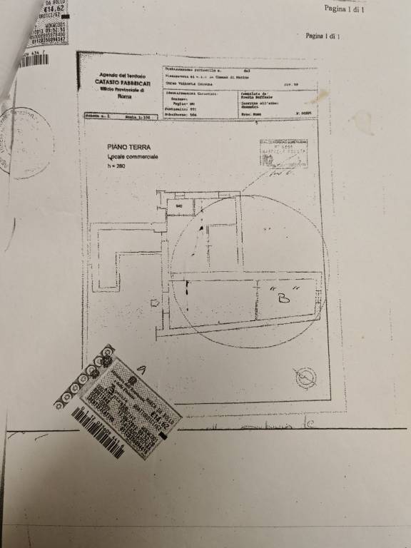 immagine annuncio 12 di 13