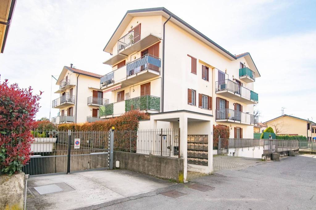 immagine annuncio 14 di 15