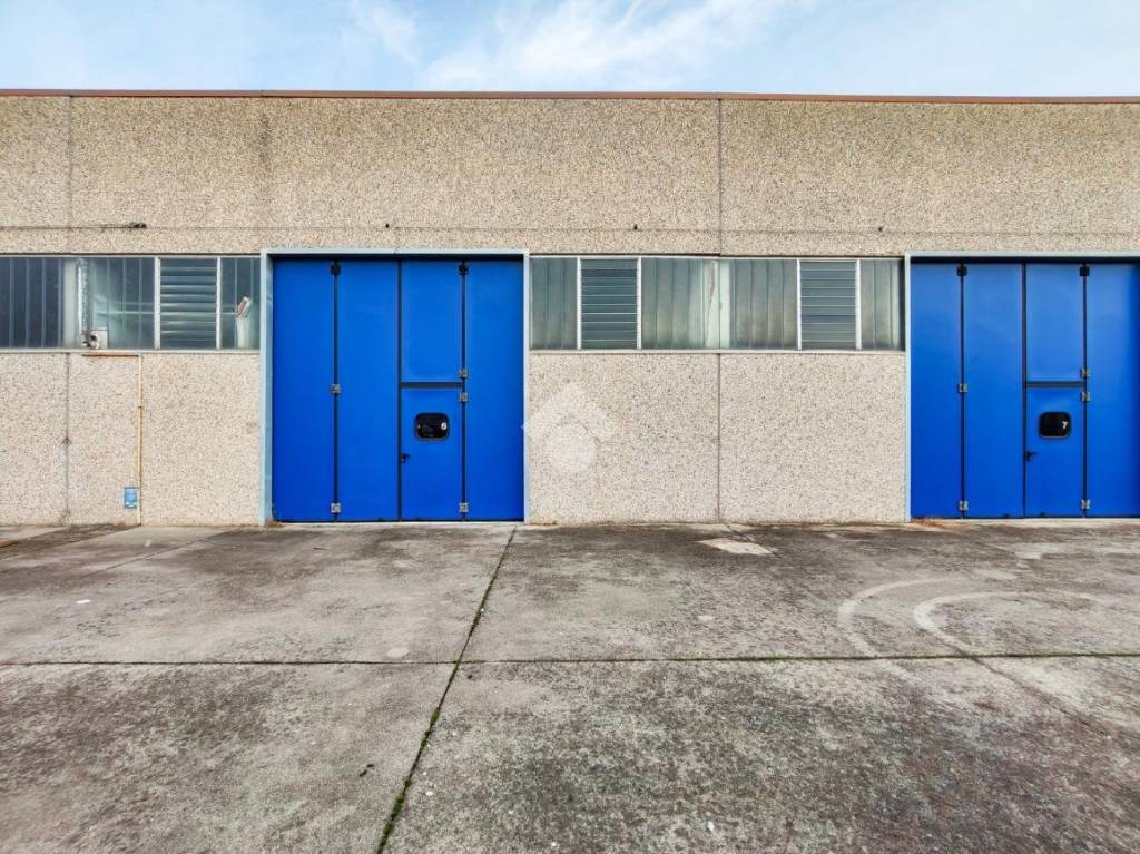 immagine annuncio 2 di 15