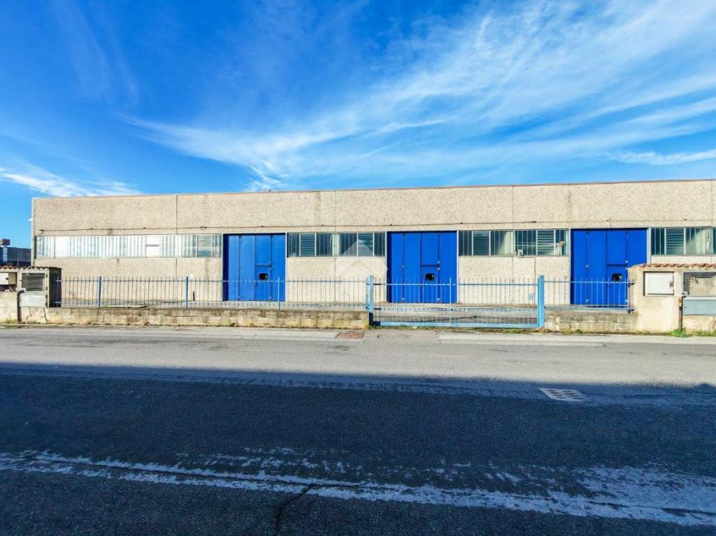 immagine annuncio 7 di 15