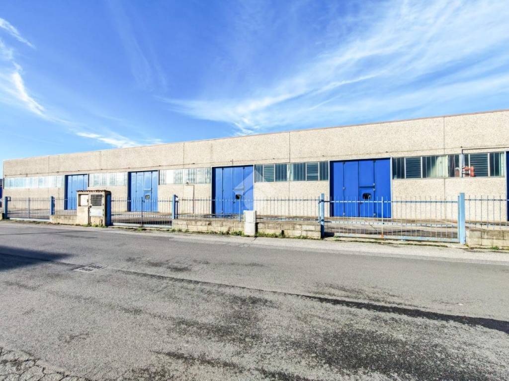 immagine annuncio 13 di 15