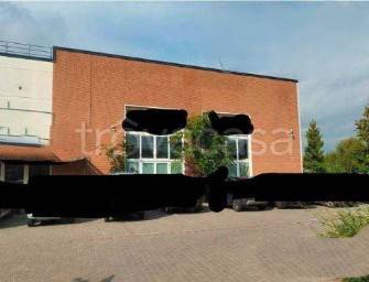 immagine annuncio 1 di 6