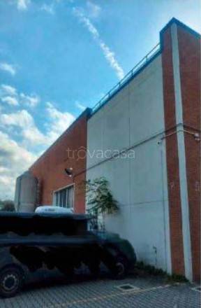 immagine annuncio 2 di 6